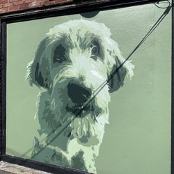 Mural of Bailey - Mural if Bailey