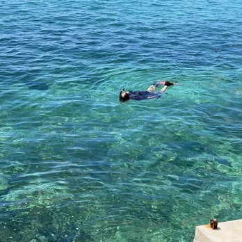 1648 - An Island Restaurant - Snorkeling at French Leave after a great breakfast - Breakfast & Brunch Near Me - Bahamas, Ontario