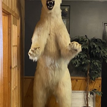 Cow Palace - a polar bear standing on its hind legs - American Near Me - Derby, Vermont