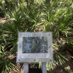 Erna Nixon Park