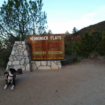 Mt Wilson Toll Road Trail - 2.7 miles from trailhead, Sammy at Henninger Flats Camgroung - Hiking Near Me - Altadena, California Mt Wilson Toll Road Trail - 2.7 miles from trailhead, Sammy at Henninger Flats Camgroung - Hiking Near Me - Altadena, California
