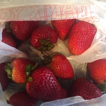 Frisco Fresh Market - The best strawberries I've ever tasted! - Farmers Market Near Me - Frisco, Texas