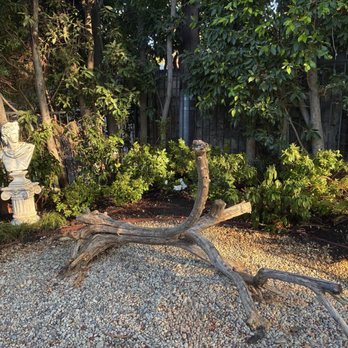 Irritech Water & Irrigation Specialists - My new azalea/camellia garden in rear. I finally have even irrigation. - Irrigation Near Me - Burbank, California Irritech Water & Irrigation Specialists - My new azalea/camellia garden in rear. I finally have even irrigation. - Irrigation Near Me - Burbank, California