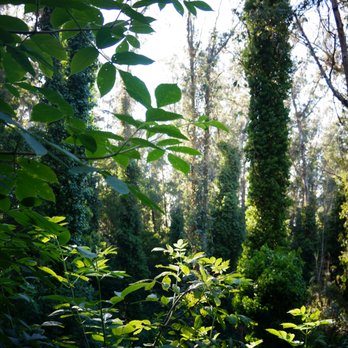 Mount Sutro - Parks Near Me - San Francisco, California