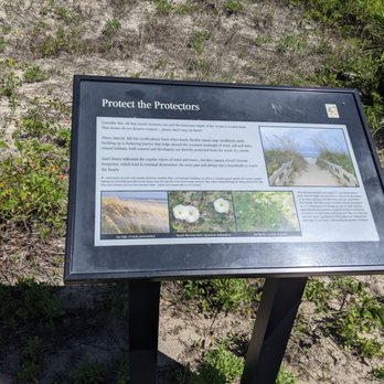 Myrtle Beach State Park - Myrtle Beach State Park - Parks Near Me - Myrtle Beach, South Carolina Myrtle Beach State Park - Myrtle Beach State Park - Parks Near Me - Myrtle Beach, South Carolina