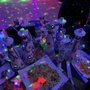 Photo of Recital Karaoke