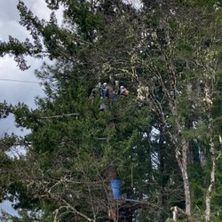 Treehouse Ziplines - Ocean surprised Curtis by exuberantly pouncing into the last zip, bursting into song upon launch.