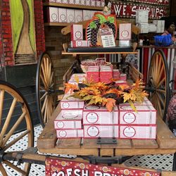 Magnolia Sugar & Spice - Welcome
