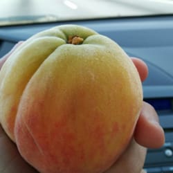 Lemmons Peach Shed
