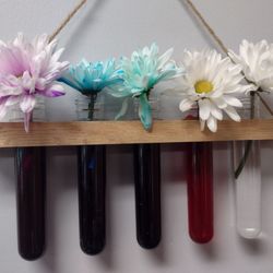 Christian Montessori School of Ann Arbor - "Nature's transformation on display. A simple color absorption experiment brings wonder to even the walls of our school."
