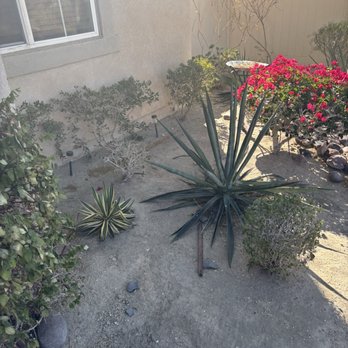 Libby's Realty - Property Management Near Me - Twentynine Palms, California