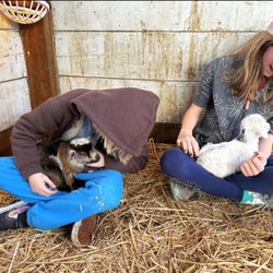 Heart N Soul Farm - Baby goats!!