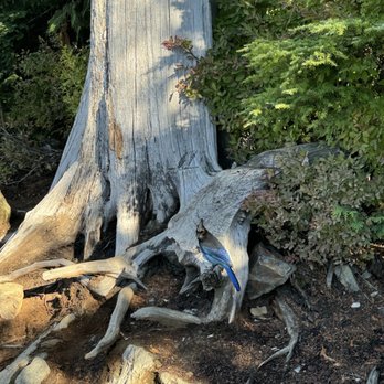 St. Mark's Summit - Parks Near Me - Greater Vancouver, British Columbia