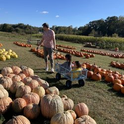 Fryes Creek Family Farm