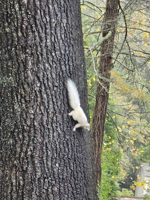 Oskar Blues Brewery Taproom by null