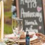 Photo of Bay Area Picnics and Events