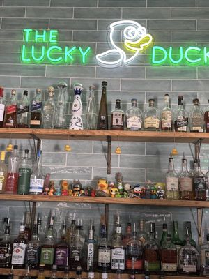 The Lucky Duck by null