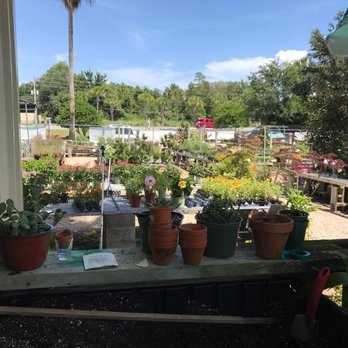 Plant Ranch Nursery - Nurseries & Gardening Near Me - Jacksonville Beach, Florida