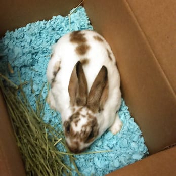 Miles Of Exotics - Pet Stores Near Me - Liberty, Missouri