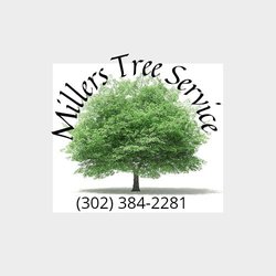 Miller's Tree Service