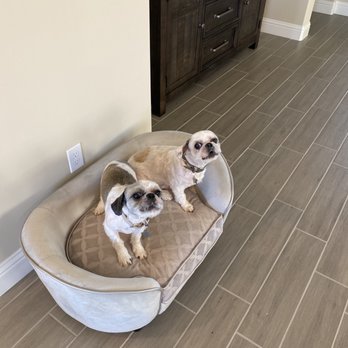 Top Dog Mobile Grooming - Pet Groomers Near Me