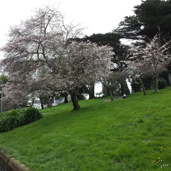 Alamo Square - I hear so many birds! LMFAO - Parks Near Me - San Francisco, California Alamo Square - I hear so many birds! LMFAO - Parks Near Me - San Francisco, California
