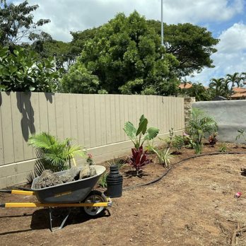 Estrada Landscape Services - a wheelbarrow with plants in it - Landscaping Near Me
