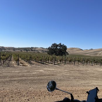 Third Wheel Tours - Just one view of the route of the tour in Cass Winery - Wine Tours Near Me - Paso Robles, California