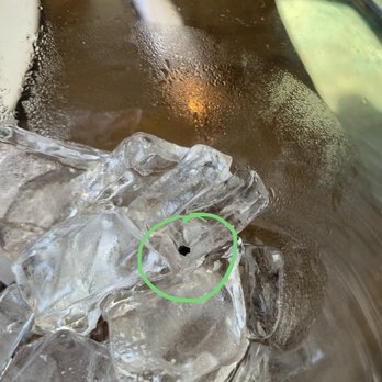 KC's American Kitchen - Unidentifiable black speck on ice - American Near Me - Windsor, California