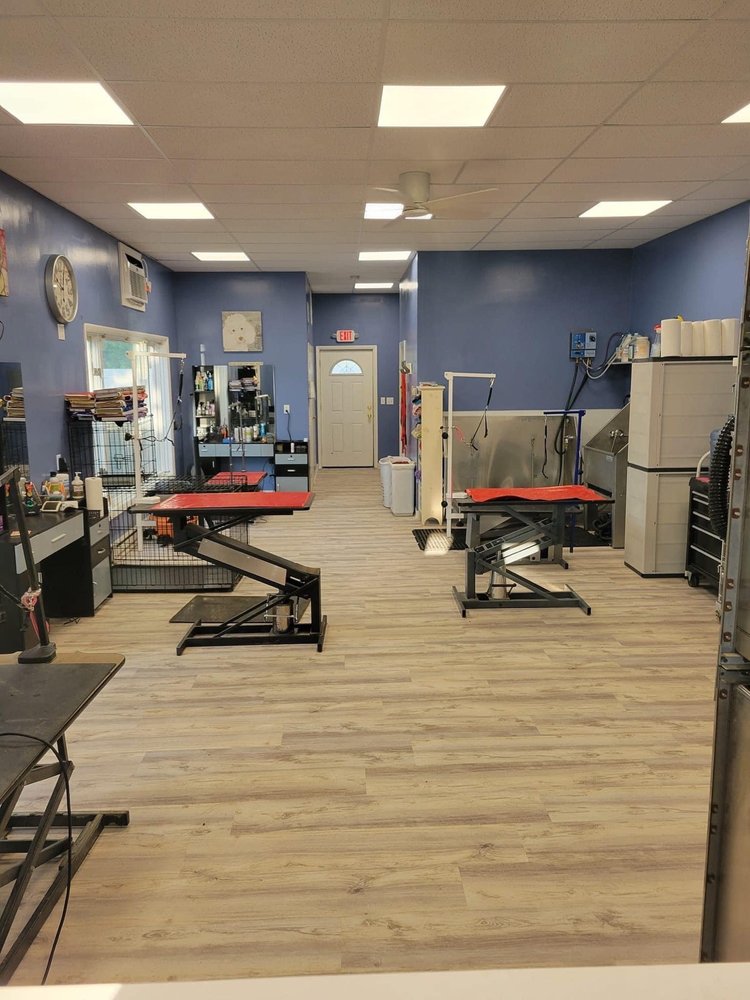 A MUDDY PAW PET SALON Updated October 2024 10 Reviews 259 Danbury