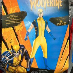 Morris Costumes