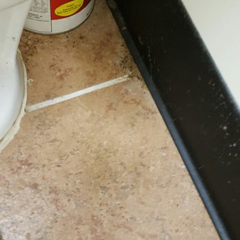 Ocean Star - Ever hear of a vacuum - Chinese Near Me - Hartland, Michigan