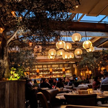 Aba - Mediterranean Near Me - Chicago, Illinois
