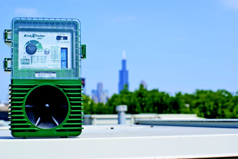 BIRDX Updated October 2024 19 Photos 845 N Larch Ave, Elmhurst