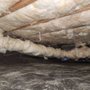 Photo of Dragon Guard Insulation
