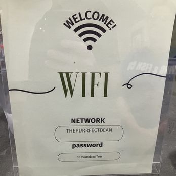 The Purrfect Bean - WiFi info - Themed Cafes Near Me - Richmond, Virginia The Purrfect Bean - WiFi info - Themed Cafes Near Me - Richmond, Virginia