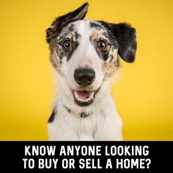 Alissa Roy - Keller Williams Realty - Real Estate Agents Near Me Alissa Roy - Keller Williams Realty - Real Estate Agents Near Me