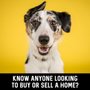 Photo of Alissa Roy - Keller Williams Realty