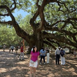 Angel Oak