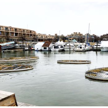 The Wharf DC - 04/07/2018: waterfront plant beds - Landmarks & Historical Buildings Near Me - Washington, DC, District of Columbia The Wharf DC - 04/07/2018: waterfront plant beds - Landmarks & Historical Buildings Near Me - Washington, DC, District of Columbia