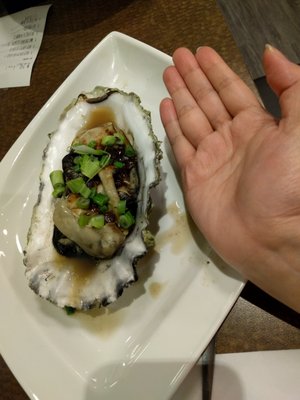 Captain's Catch by null