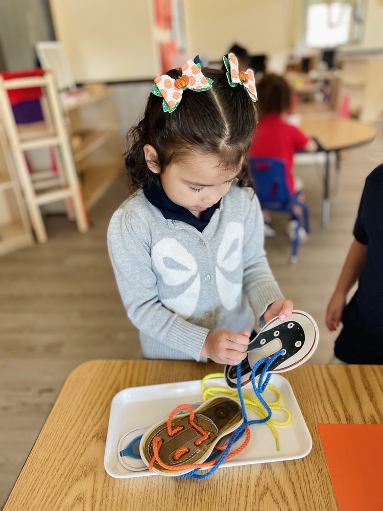 Pinnacle Montessori of Castle Hills - childcare center in Lewisville, TX