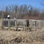 Photo of Prarie Wolf Forest Preserve