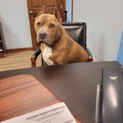 Henry Plumbing Company