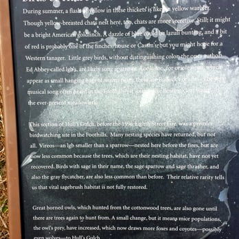 Hull's Gulch Interpretive Trail - Birds of Hull's Gulch! - Hiking Near Me - Boise, Idaho