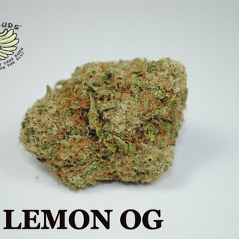 Fly Buds - Lemon O.G. - Indica - THC: 25% - Cannabis Dispensaries Near Me Fly Buds - Lemon O.G. - Indica - THC: 25% - Cannabis Dispensaries Near Me