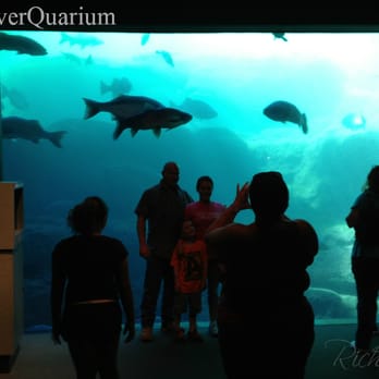 Flint RiverQuarium - Blue Hole Spring is nice - Aquariums Near Me - Albany, Georgia