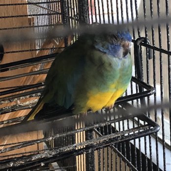 Pet Kingdom - Pet Stores Near Me - Las Vegas, Nevada