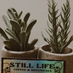 Still Life Coffee & Botanicals