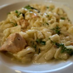 Trattoria Natalie - Gluten free fettuccini alfredo for Passover.